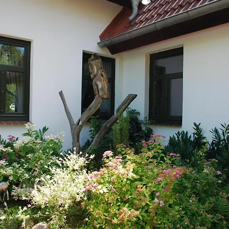 Grosses Mit Swimmingpool In Dargun Apartman Barlin