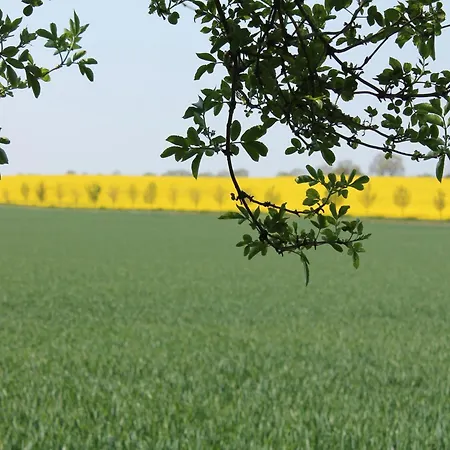 Apartment Elegant Mansion In With Swimming Pool *