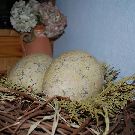 Apartment Elegant Mansion In With Swimming Pool Barlin