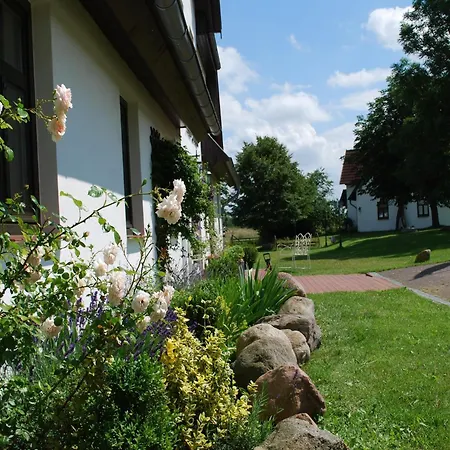 Apartment Elegant Mansion In With Swimming Pool